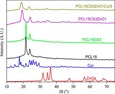 Fabrication and characterization of polycaprolactone/chitosan nanofibers containing antibacterial agents of curcumin and ZnO nanoparticles for use as wound dressing